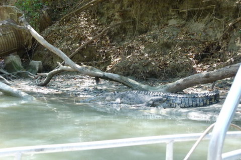 Kakadu Full-Day Tour From Darwin With Lunch - Accommodation Coffs Harbour 2