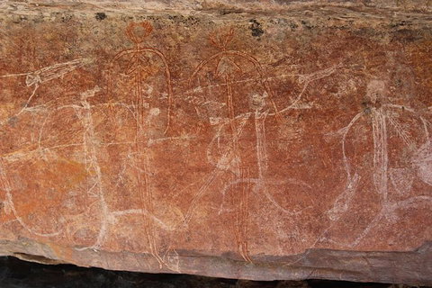 Kakadu Full-Day Tour From Darwin With Lunch - Accommodation Coffs Harbour 1