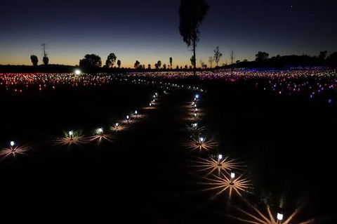Uluru Field Of Light Sunrise Tour - Accommodation Coffs Harbour 2