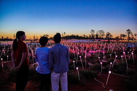 Uluru Field Of Light Sunrise Tour - Accommodation Coffs Harbour 0