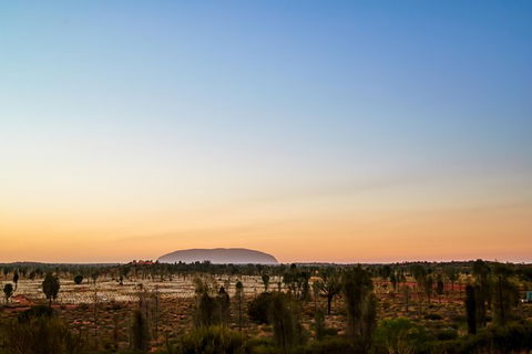 Uluru Field Of Light Sunrise Tour - Accommodation Coffs Harbour 12