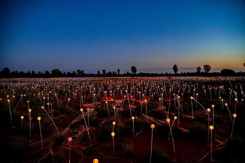 Uluru Field Of Light Sunrise Tour - Accommodation Coffs Harbour 7