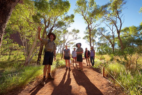 Uluru Small Group Tour Including Sunset - Accommodation Coffs Harbour 5