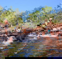 Litchfield and Jumping Crocodiles Full Day Trip from Darwin