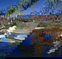 Palm Valley 4WD Tour - Accommodation Coffs Harbour