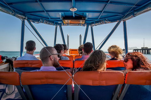 1-Hour Darwin Harbour Highlights Cruise - Accommodation Coffs Harbour 6