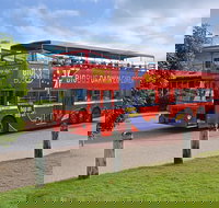 Darwin Shore Excursion Hop-on Hop-off Bus Tour