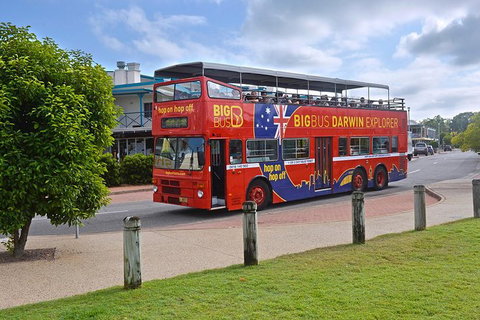 Darwin Shore Excursion: Hop-on Hop-off Bus Tour - Accommodation Coffs Harbour 4