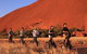 Sunset Segway Experience In Uluru From Yulara - thumb 2