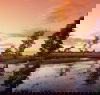 3-Day Kakadu National Park and Arnhem Land Explorer Tour from Darwin