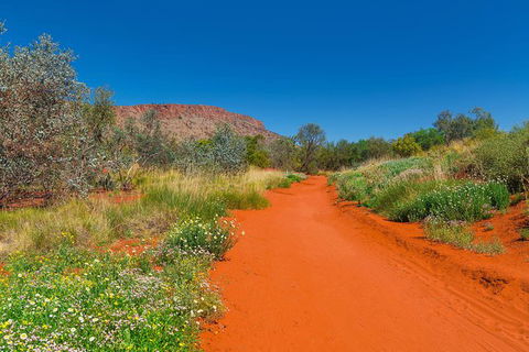 Alice Springs Desert Park General Entry Ticket - Accommodation Coffs Harbour 7