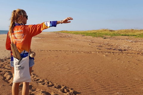 Turtle Tracks Tour To Bare Sand Island From Darwin - Accommodation Coffs Harbour 7