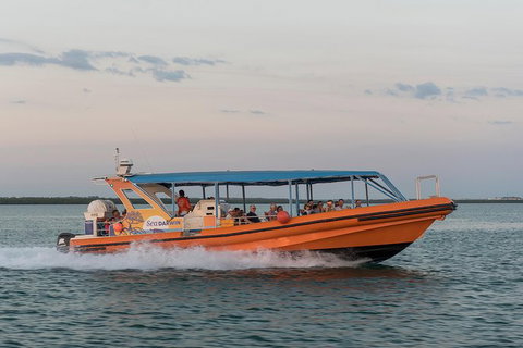 Turtle Tracks Tour To Bare Sand Island From Darwin - Accommodation Coffs Harbour 5