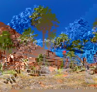 Palm Valley 4WD Tour from Alice Springs - Accommodation Coffs Harbour