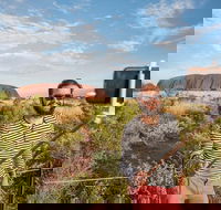 3-Day Ayers Rock and Kings Canyon Camping Tour - Accommodation Coffs Harbour