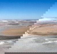 Scenic Flight Lizard Safari - Accommodation Coffs Harbour