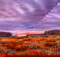 4-Day Camping Trip from Ayers Rock Including Uluru Kata Tjuta and Kings Canyon - Accommodation Coffs Harbour