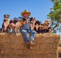 Skip-the-Line Katherine Outback Experience Show Ticket - Accommodation Coffs Harbour