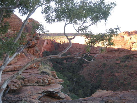 3-Day Uluru And Kings Canyon Camping Experience From Alice Springs Including Outback BBQ Dinner - Accommodation Coffs Harbour 1