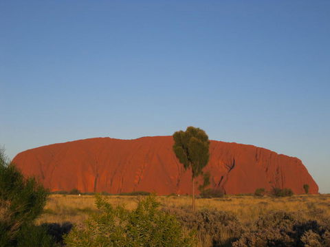 3-Day Uluru And Kings Canyon Camping Experience From Alice Springs Including Outback BBQ Dinner - Accommodation Coffs Harbour 4