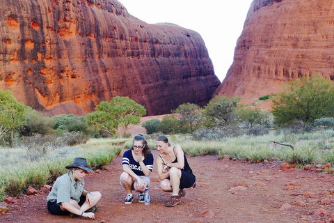 Afternoon Kata Tjuta Small Group Tour - Accommodation Coffs Harbour 7