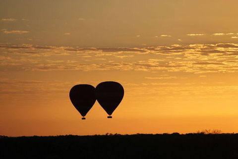 Early Morning Ballooning In Alice Springs - Accommodation Coffs Harbour 2