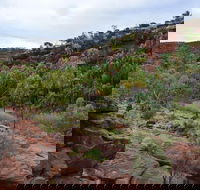Palm Valley and Hermannsburg 1 Day 4WD Tour - Accommodation Coffs Harbour