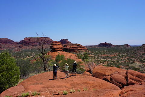 Palm Valley And Hermannsburg 1 Day 4WD Tour - Accommodation Coffs Harbour 2