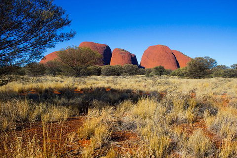 Kata Tjuta Sunrise And Valley Of The Winds Half-Day Trip - Accommodation Coffs Harbour 11