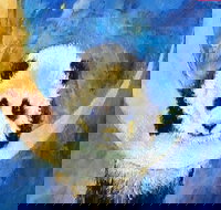 Panda Moon - Six Tanks 7.00-9.00pm