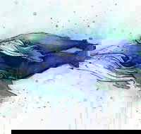 A Day At Sea - Six Tanks 3.00-5.00pm