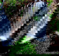 Litchfield Dreams 1 Day National Park Waterfall Swimming  Jumping Croc Cruise