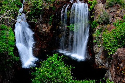 Litchfield Dreams 1 Day National Park Waterfall Swimming & Jumping Croc Cruise - Accommodation Coffs Harbour 0