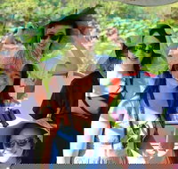 1030am Safari Cruise 1.5 Hours