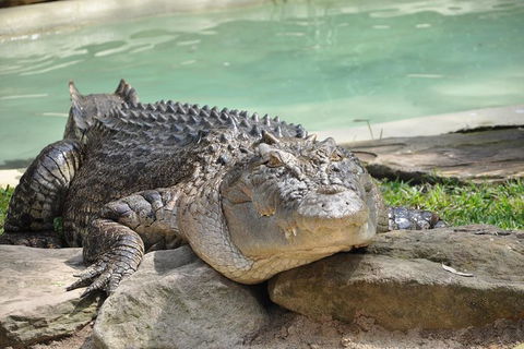 All-Inclusive Blue Mountains Tour In A Luxury Mercedes Sprinter - Accommodation Coffs Harbour 14