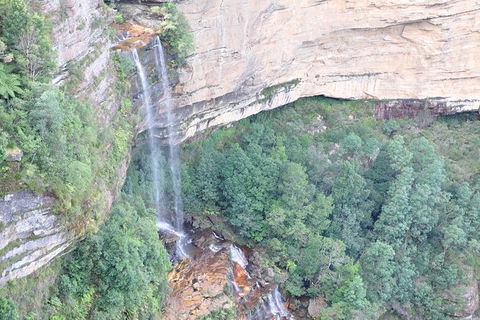 All-Inclusive Blue Mountains Tour In A Luxury Mercedes Sprinter - Accommodation Coffs Harbour 17