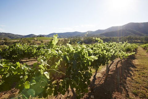 Scenic Hunter Valley Winery Tour With Boutique Wineries & Local Cheese - Accommodation Coffs Harbour 6