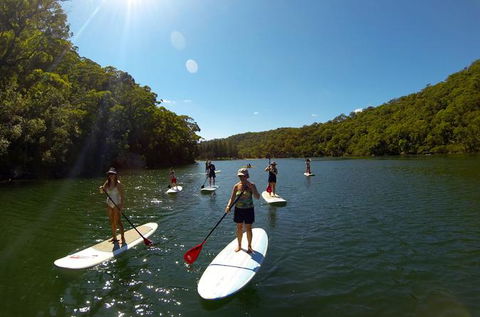 Basin Stand Up Paddle Boarding (SUP) Safari - Accommodation Coffs Harbour 0