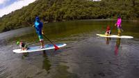 Basin Stand Up Paddle Boarding (SUP) Safari - Accommodation Coffs Harbour 1