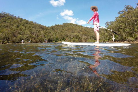 Basin Stand Up Paddle Boarding (SUP) Safari - Accommodation Coffs Harbour 3