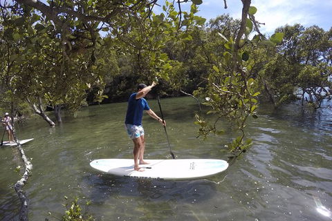Basin Stand Up Paddle Boarding (SUP) Safari - Accommodation Coffs Harbour 2