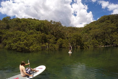 Basin Stand Up Paddle Boarding (SUP) Safari - Accommodation Coffs Harbour 7