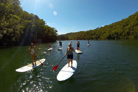 Basin Stand Up Paddle Boarding (SUP) Safari - Accommodation Coffs Harbour 4