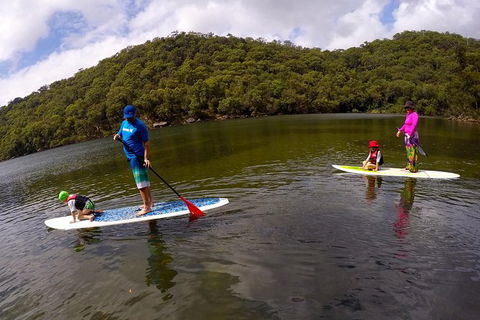 Basin Stand Up Paddle Boarding (SUP) Safari - Accommodation Coffs Harbour 6