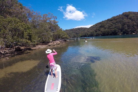 Basin Stand Up Paddle Boarding (SUP) Safari - Accommodation Coffs Harbour 5