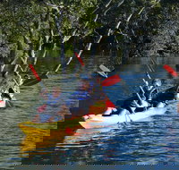 Kayak and SUP Guided Tours - Accommodation Coffs Harbour