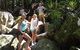 Byron Bay Hinterland Tour Including Rainforest Walk To Minyon Falls - thumb 8