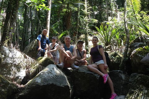 Byron Bay Hinterland Tour Including Rainforest Walk To Minyon Falls - Accommodation Coffs Harbour 4