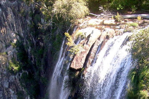 Byron Bay Hinterland Tour Including Rainforest Walk To Minyon Falls - Accommodation Coffs Harbour 14