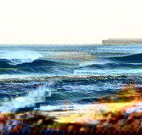 7-Day Byron Bay Evans Head and Moonee Beach Surf Safari from Brisbane Gold Coast or Byron Bay - Accommodation Coffs Harbour